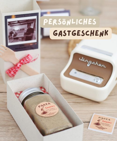 Titelbild_NiimbotB21Pro_DIYfeierei (1)